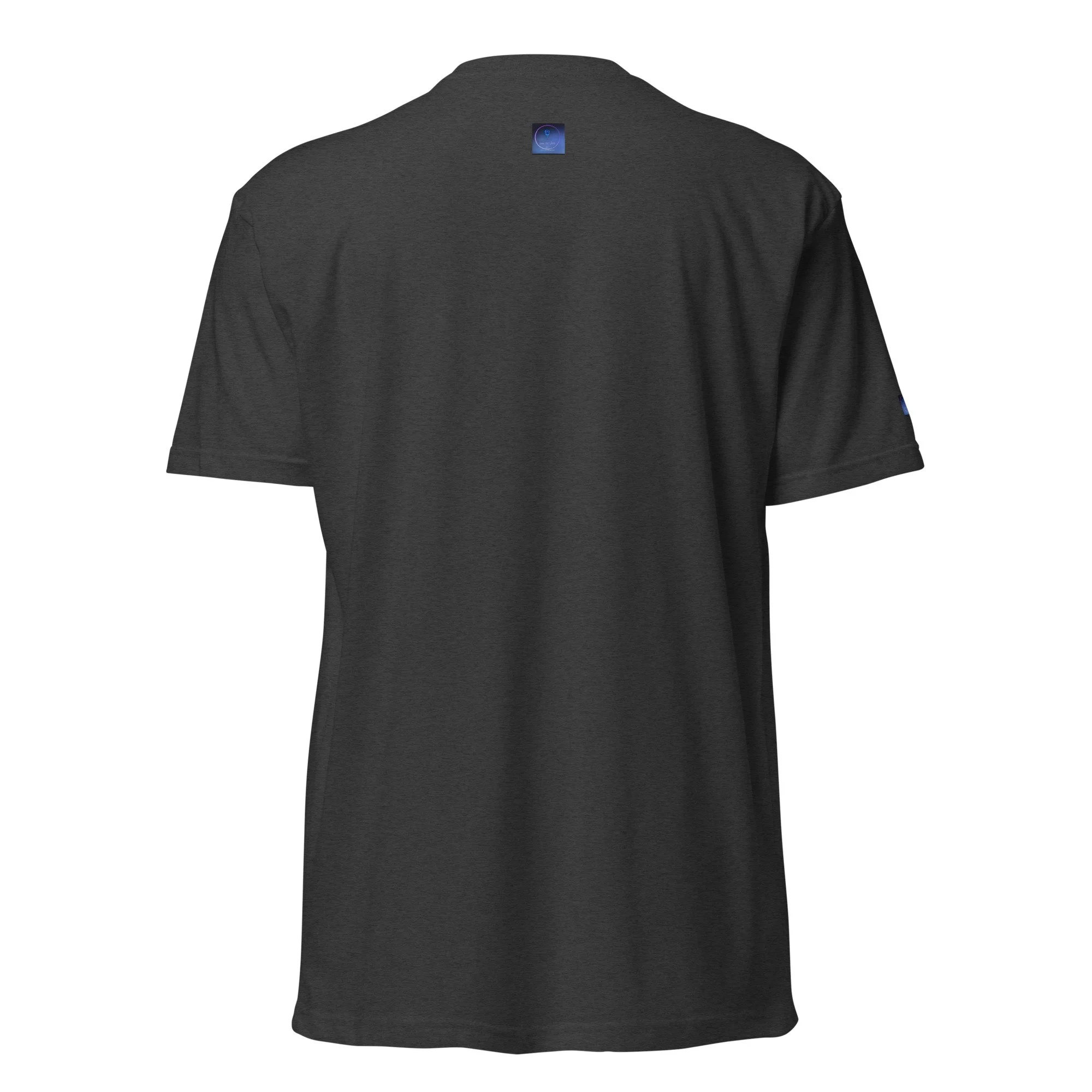 unisex-cvc-t-shirt-charcoal-back-69da5fd9abb29.jpg