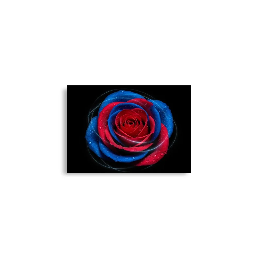 enhanced-matte-paper-poster-(in)-a2-(16.5x23.3)-front-69e0eaf054835.jpg