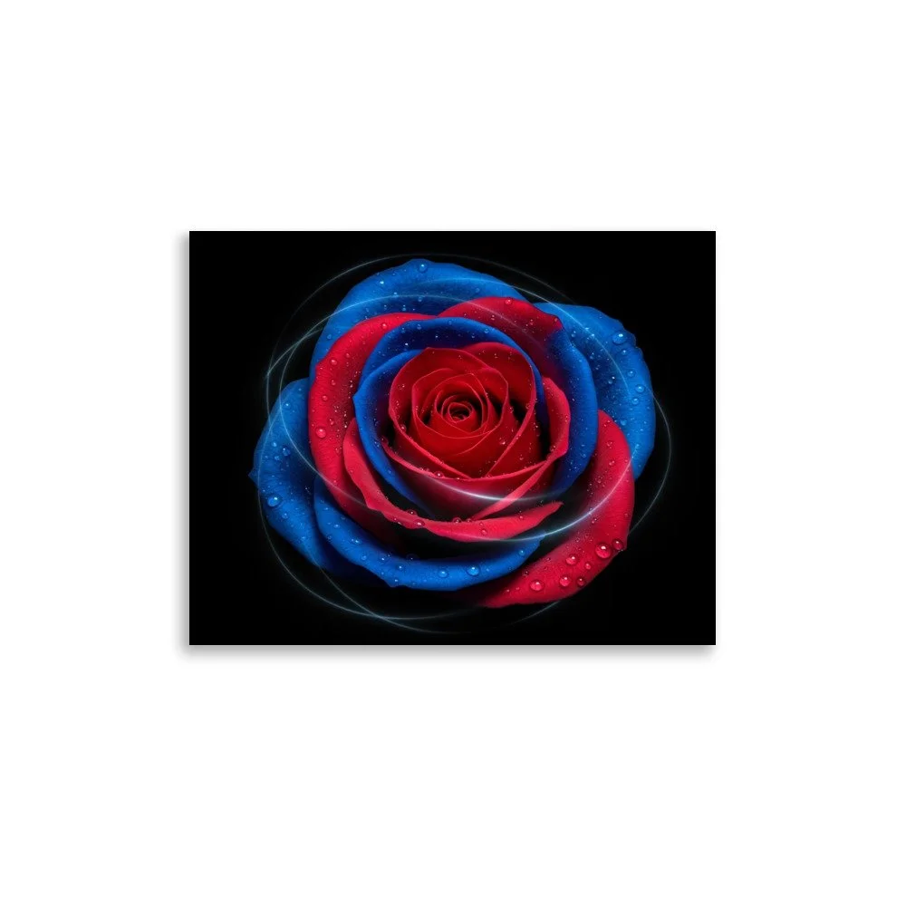 enhanced-matte-paper-poster-(in)-11x14-front-69e0eaf04d1a3.jpg