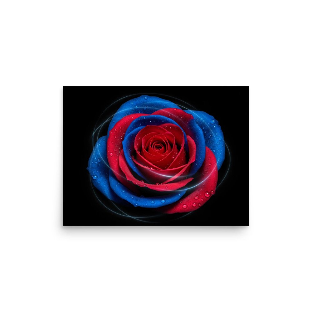 enhanced-matte-paper-poster-(in)-12x16-front-69e0eaf046b86.jpg