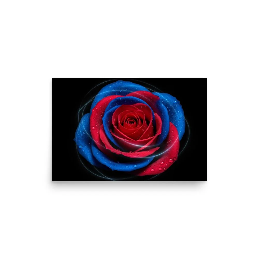 enhanced-matte-paper-poster-(in)-12x18-front-69e0eaf047ae6.jpg
