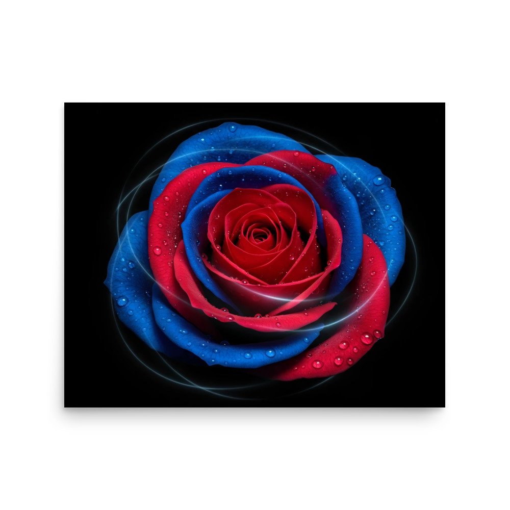 enhanced-matte-paper-poster-(in)-16x20-front-69e0eaf048a14.jpg
