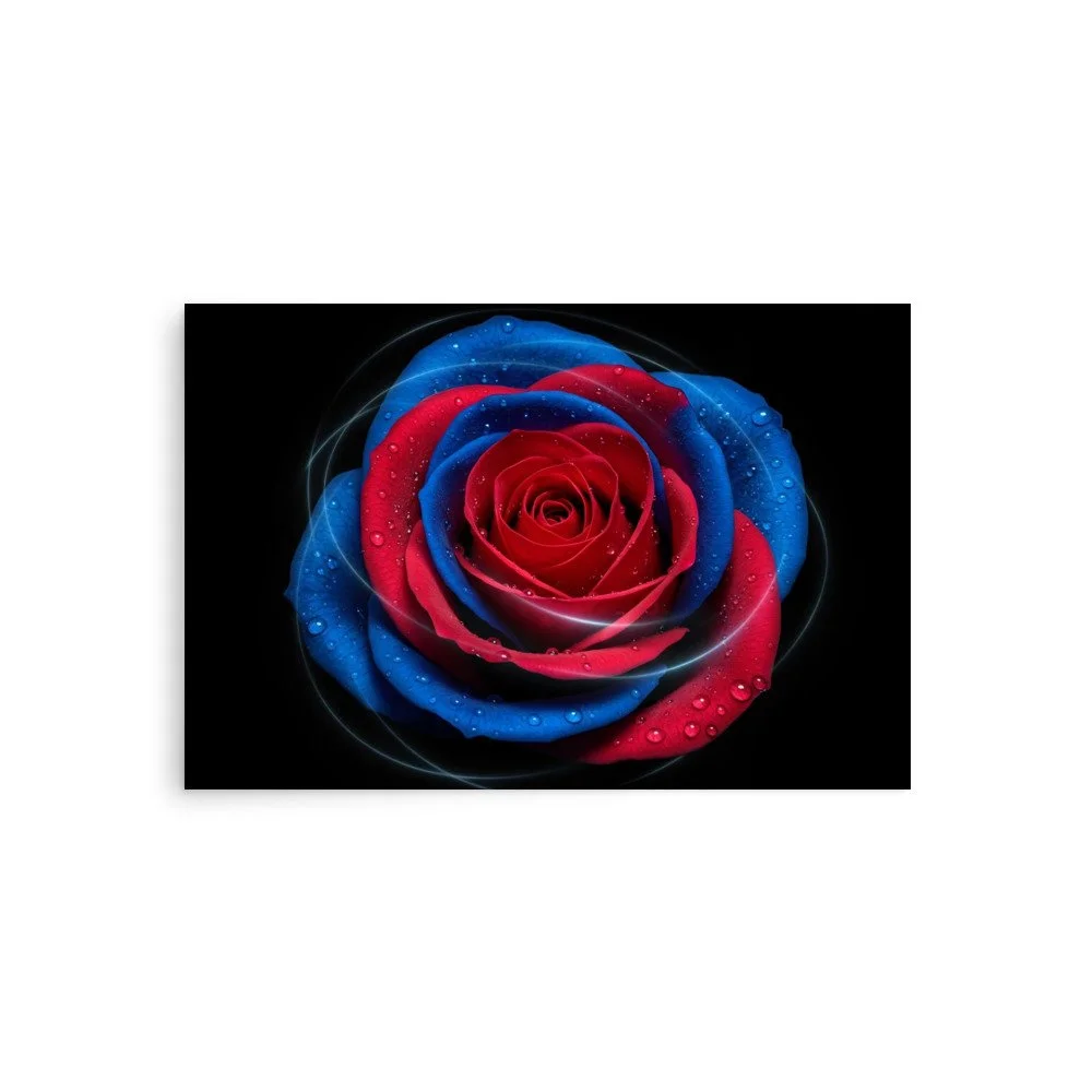 enhanced-matte-paper-poster-(in)-20x30-front-69e0eaf052a48.jpg
