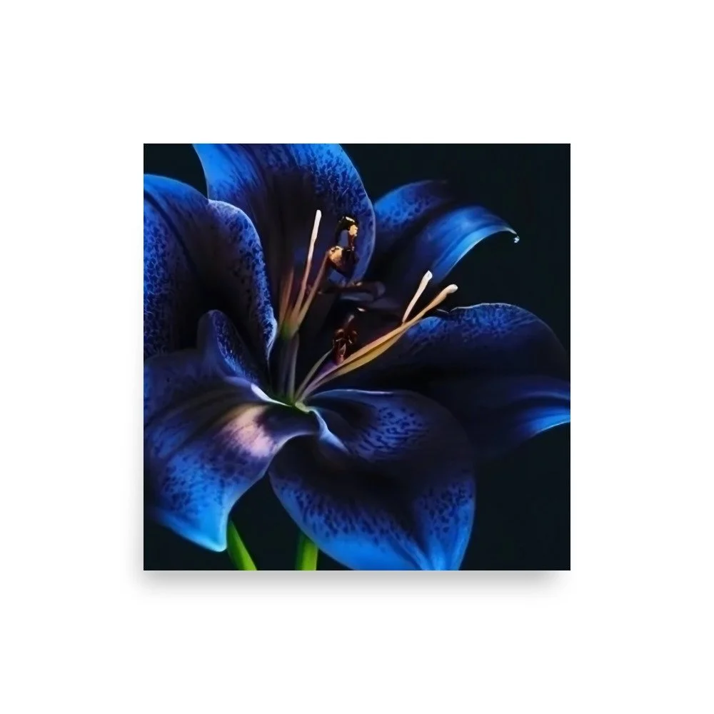 enhanced-matte-paper-poster-(in)-front-69e0eb958caf8.jpg