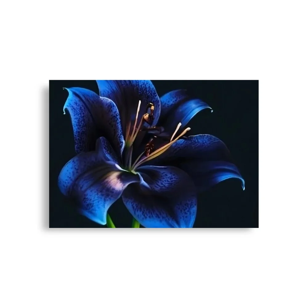 enhanced-matte-paper-poster-(in)-a1-(23.3x33.1)-front-69e0eb9590a26.jpg