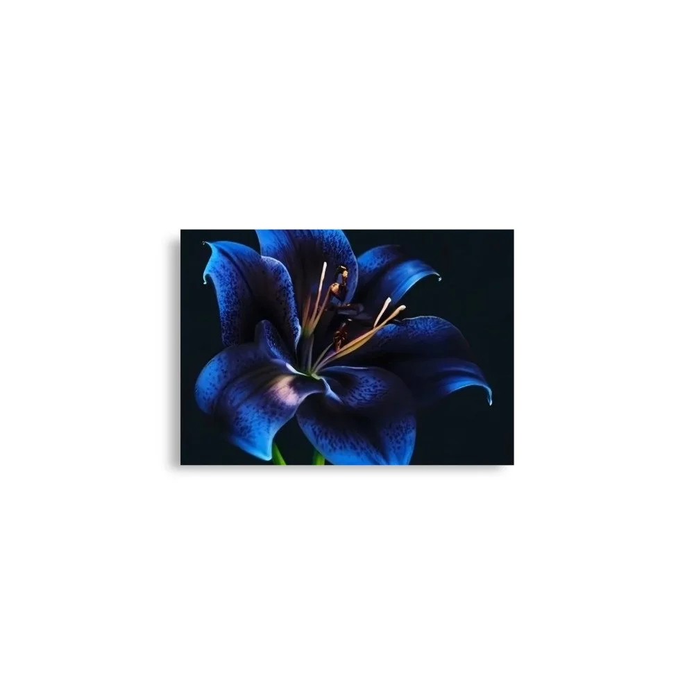 enhanced-matte-paper-poster-(in)-a2-(16.5x23.3)-front-69e0eb95910b8.jpg