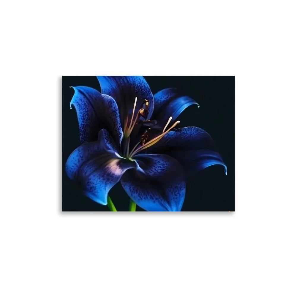 enhanced-matte-paper-poster-(in)-11x14-front-69e0eb958ec3c.jpg