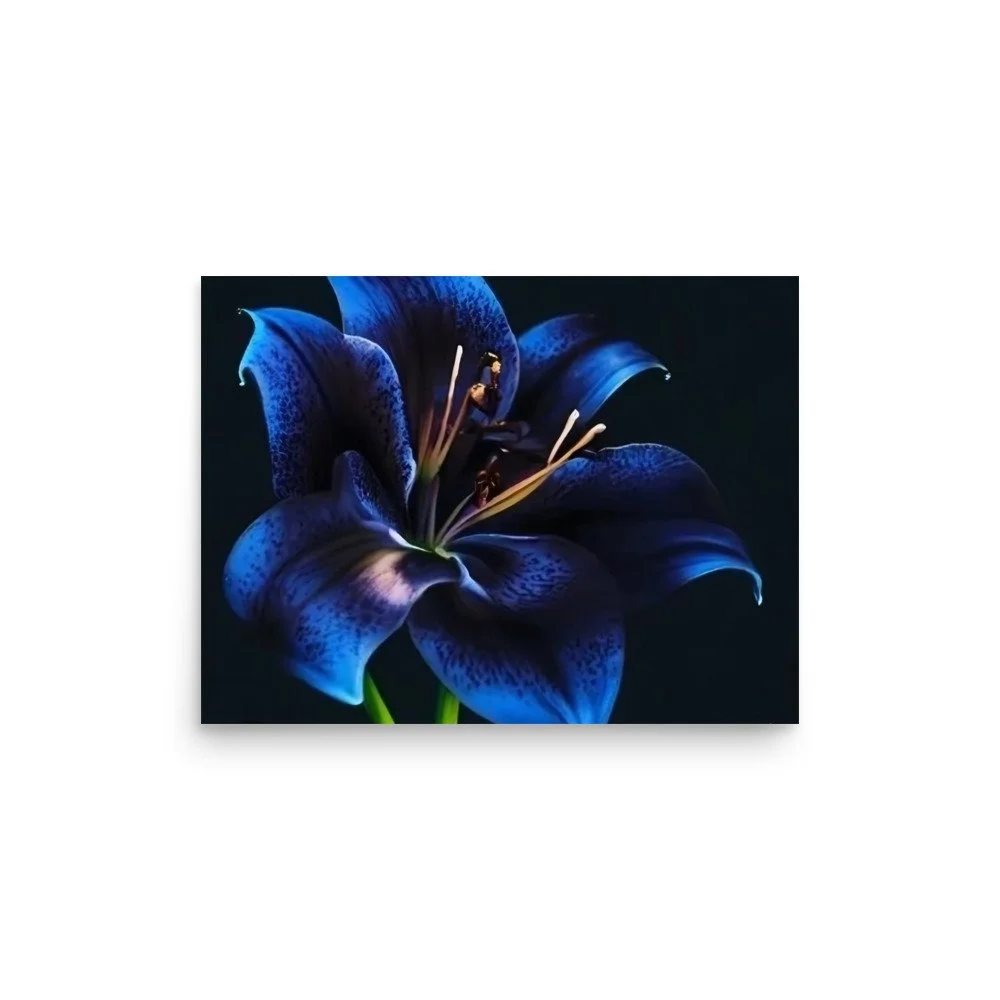 enhanced-matte-paper-poster-(in)-12x16-front-69e0eb958cf8c.jpg