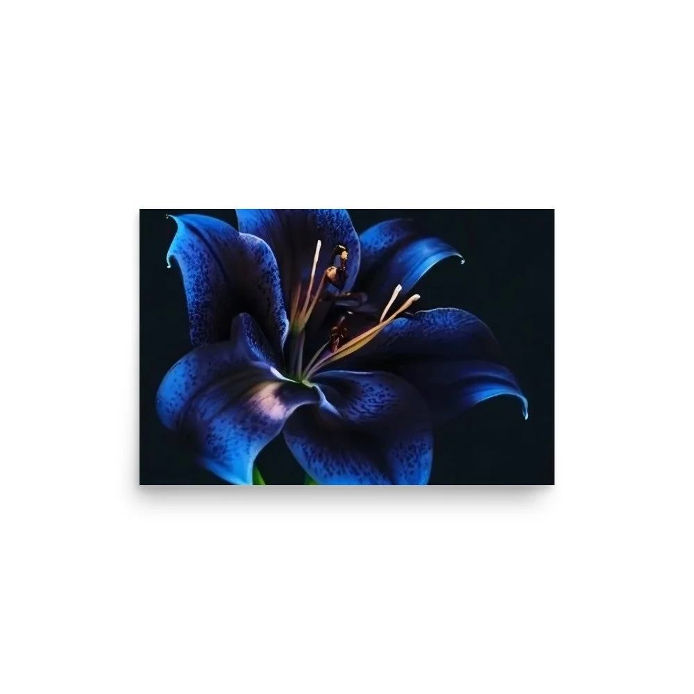 enhanced-matte-paper-poster-(in)-12x18-front-69e0eb958d4eb.jpg