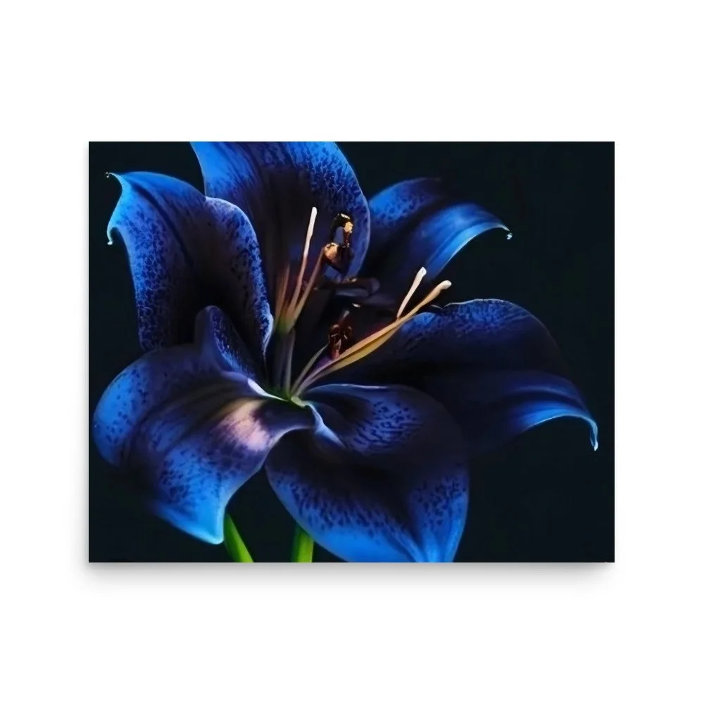 enhanced-matte-paper-poster-(in)-16x20-front-69e0eb958d9bf.jpg