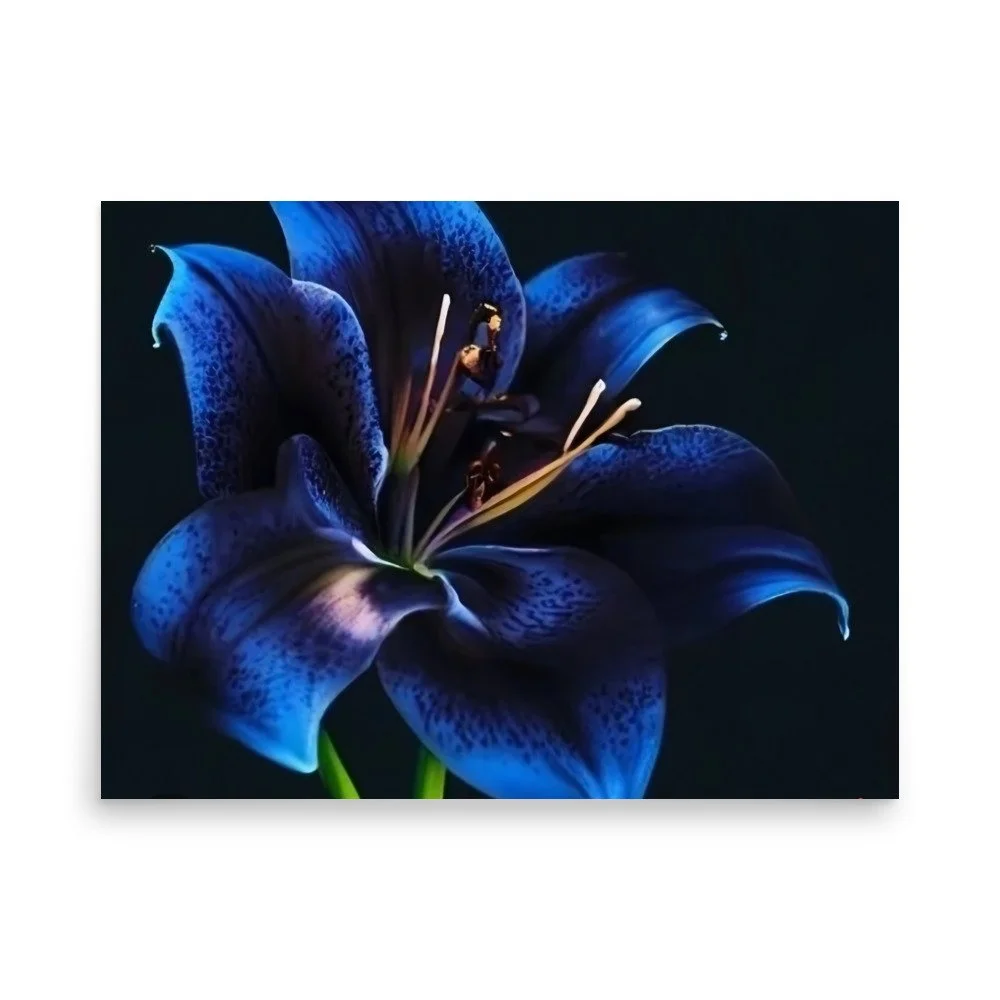 enhanced-matte-paper-poster-(in)-18x24-front-69e0eb958de57.jpg