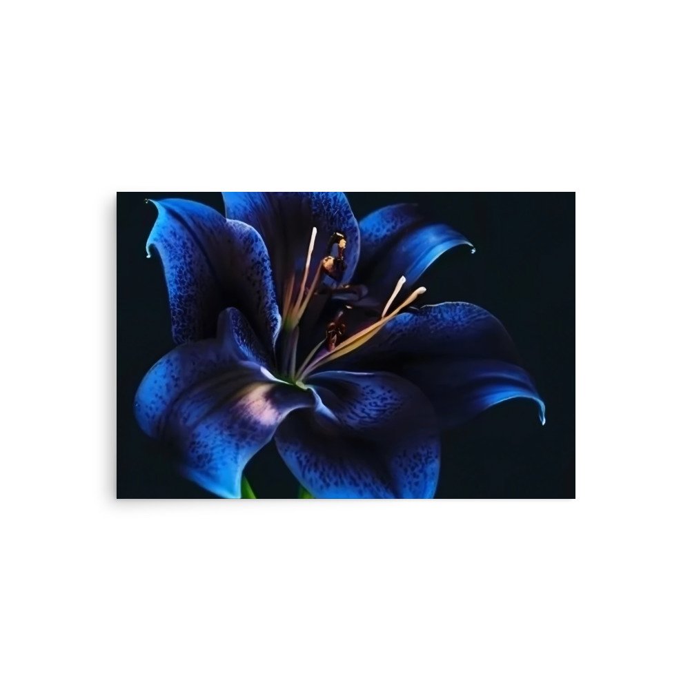 enhanced-matte-paper-poster-(in)-20x30-front-69e0eb9590303.jpg