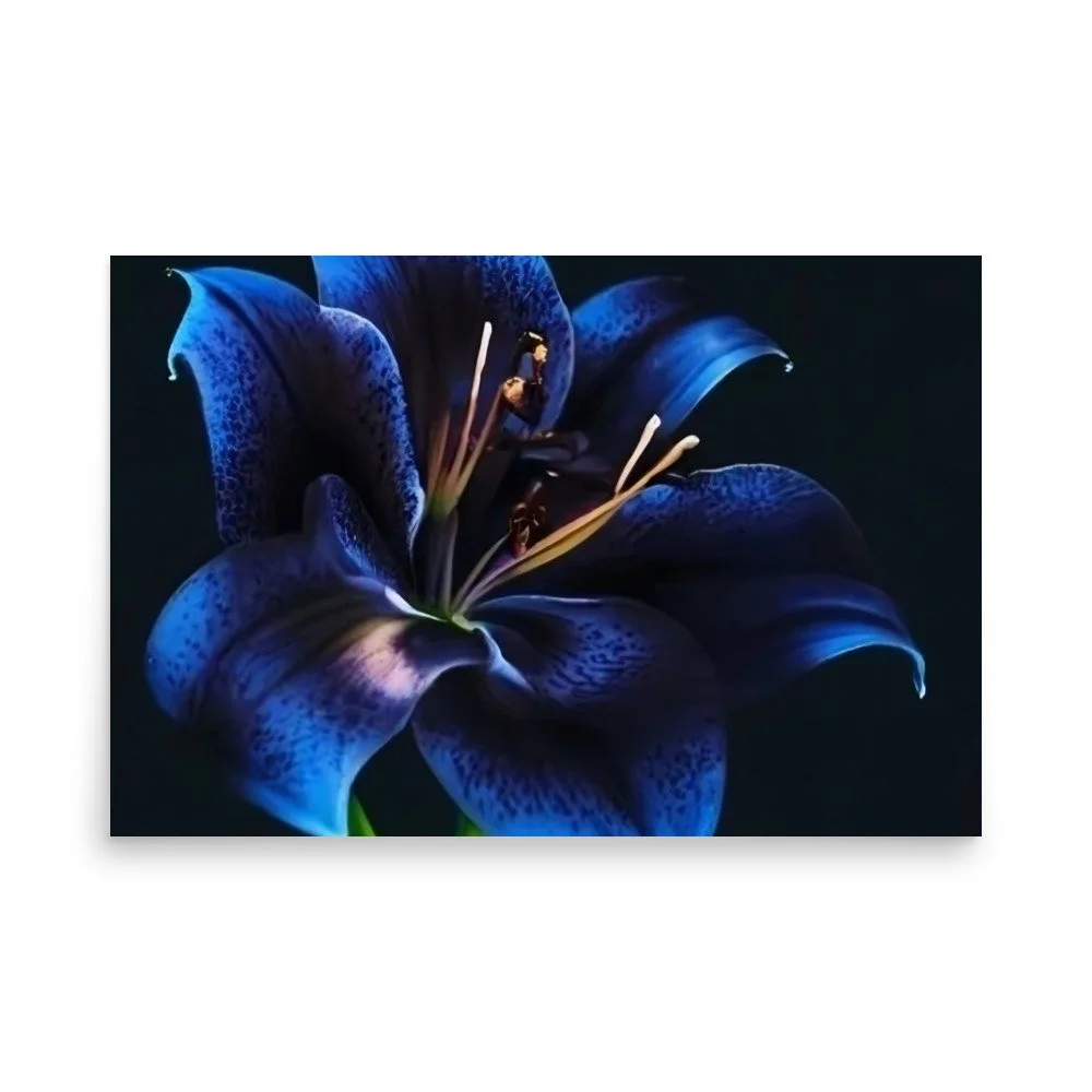 enhanced-matte-paper-poster-(in)-24x36-front-69e0eb958e2df.jpg