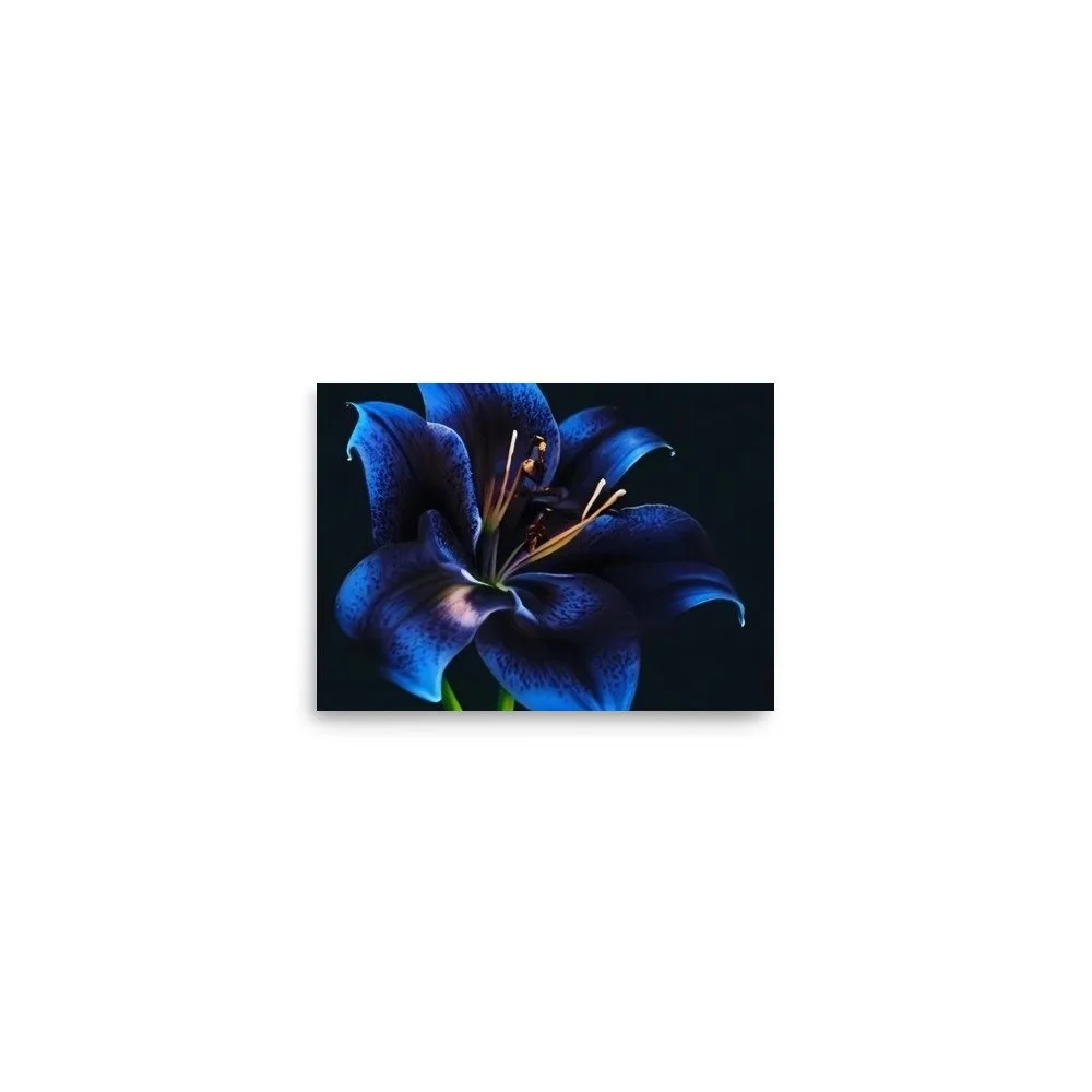 enhanced-matte-paper-poster-(in)-5x7-front-69e0eb958f68b.jpg