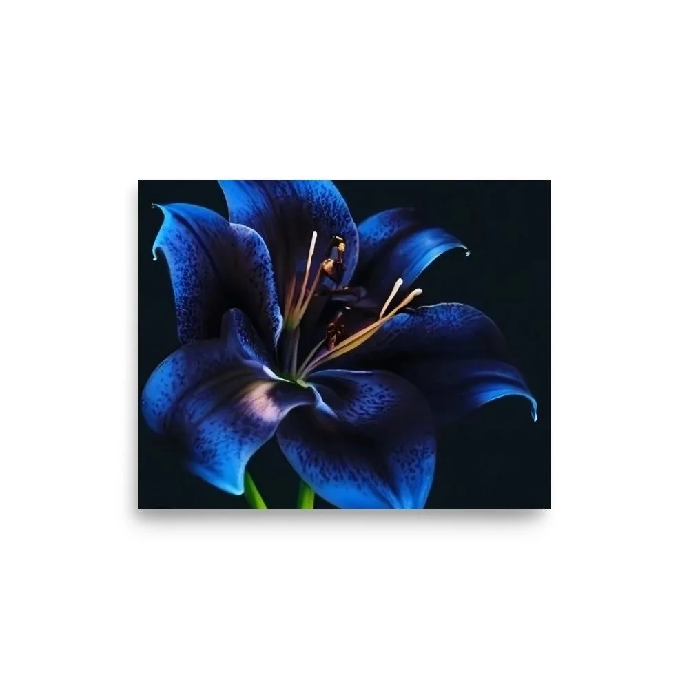 enhanced-matte-paper-poster-(in)-8x10-front-69e0eb958c66d.jpg
