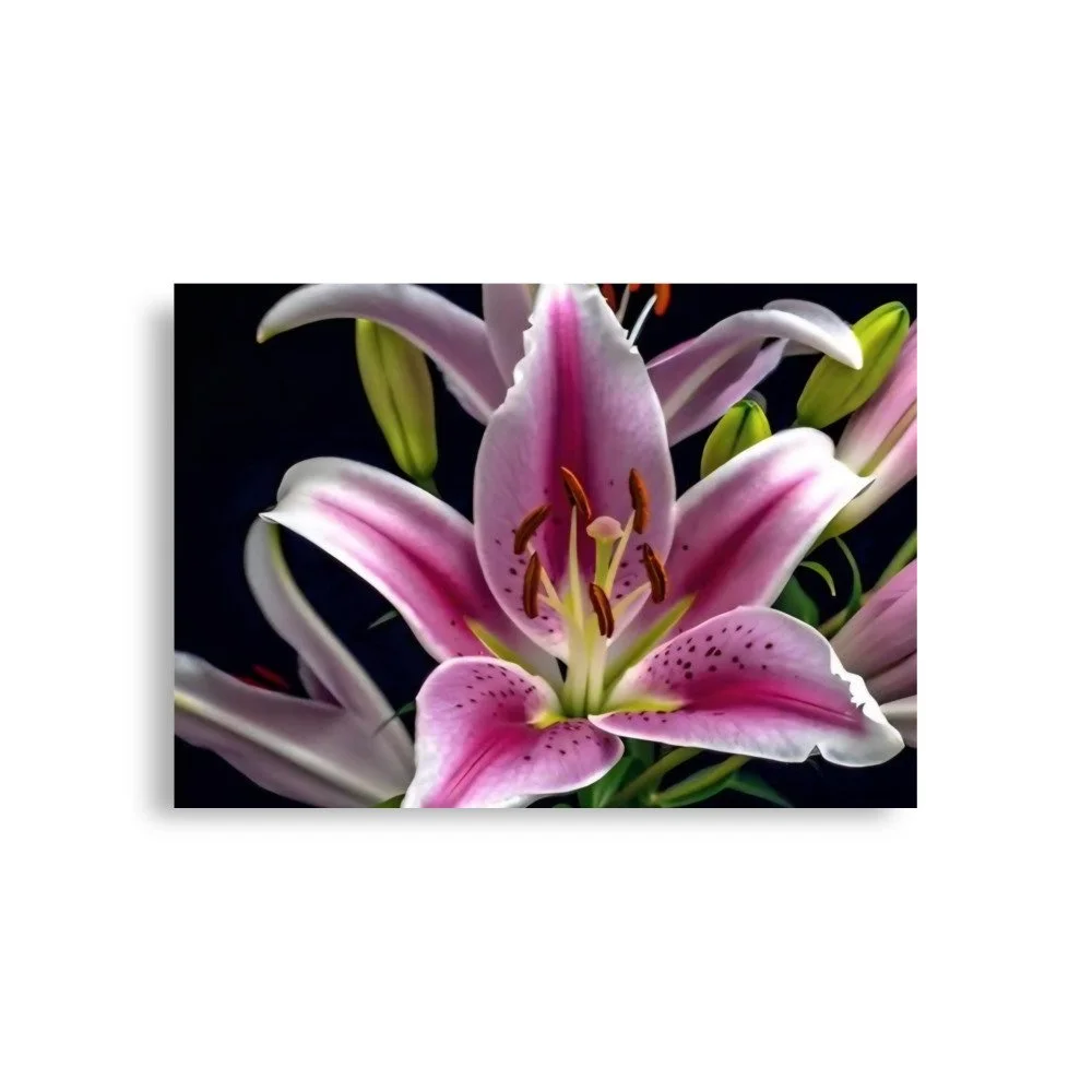 enhanced-matte-paper-poster-(in)-a1-(23.3x33.1)-front-69e0ed808d8ec.jpg