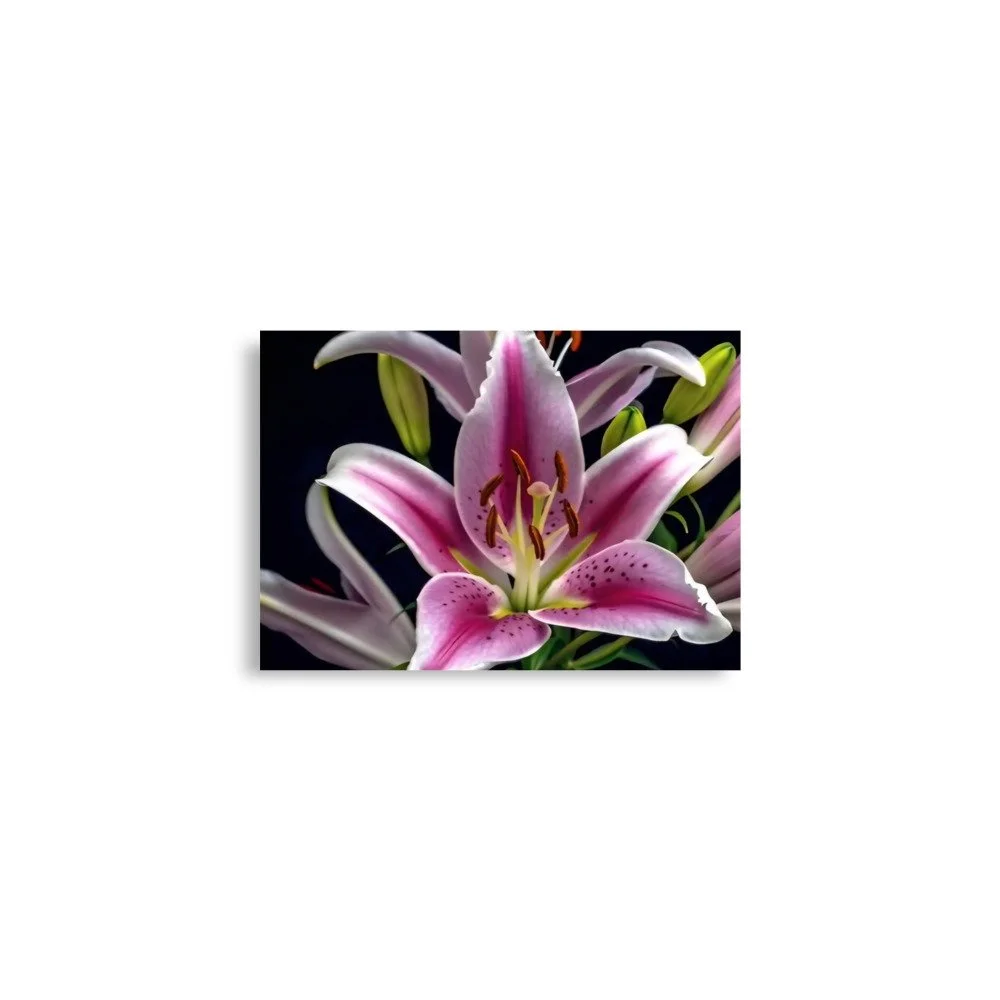 enhanced-matte-paper-poster-(in)-a2-(16.5x23.3)-front-69e0ed808dd6c.jpg