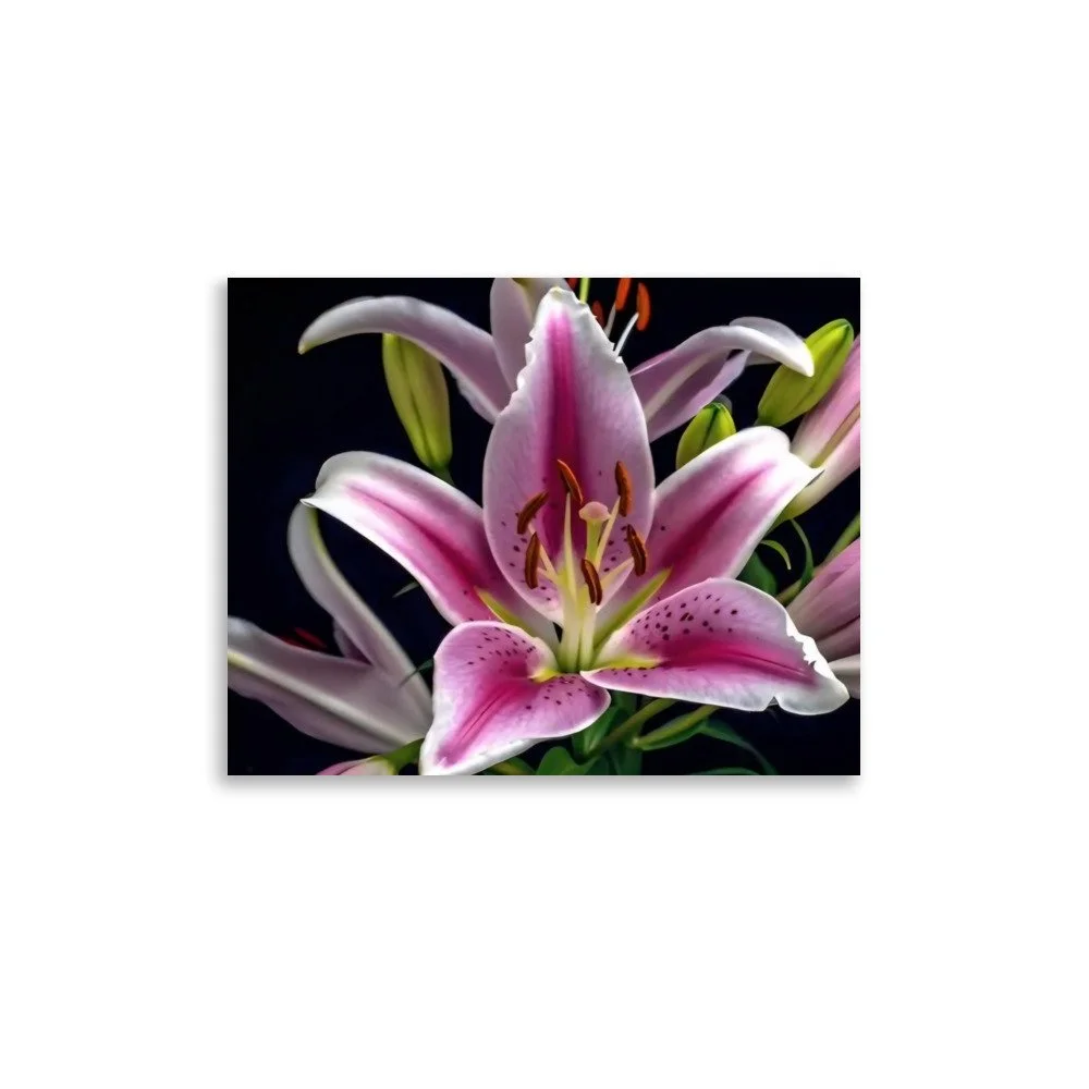 enhanced-matte-paper-poster-(in)-11x14-front-69e0ed808c224.jpg