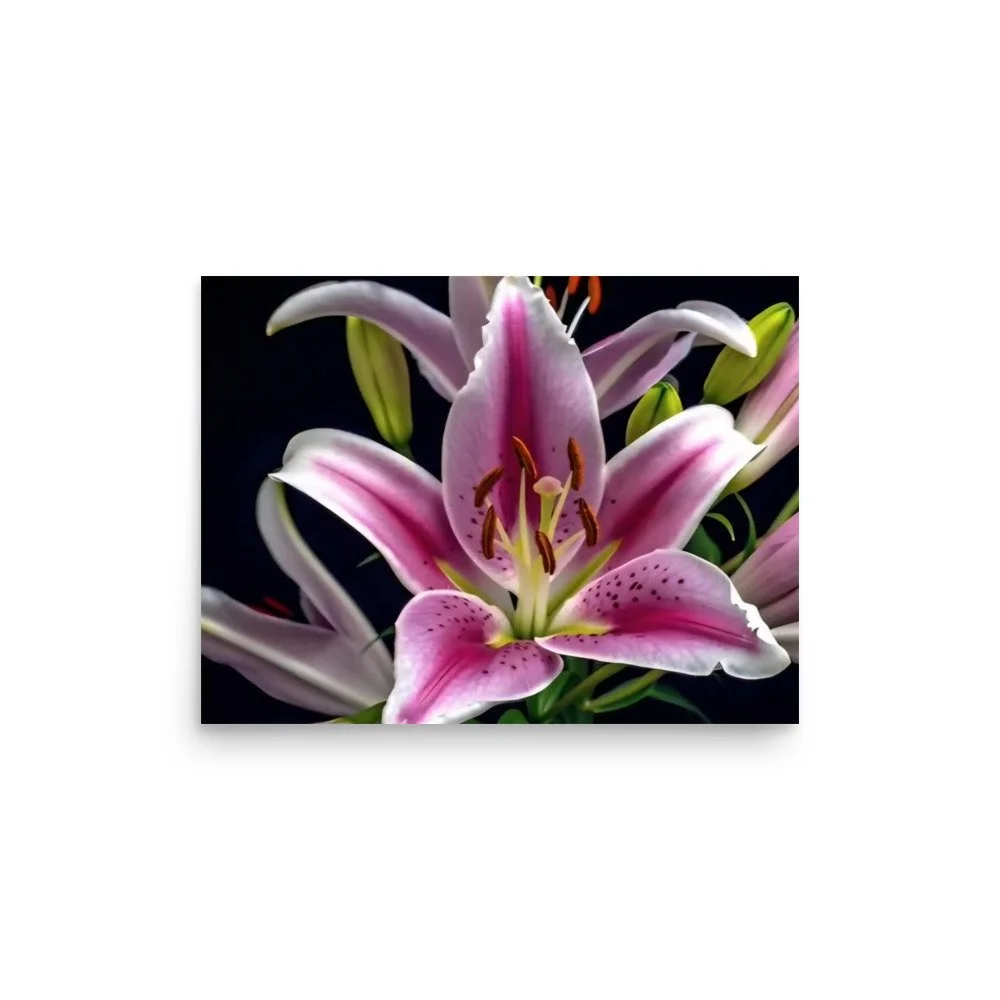 enhanced-matte-paper-poster-(in)-12x16-front-69e0ed808a6d4.jpg