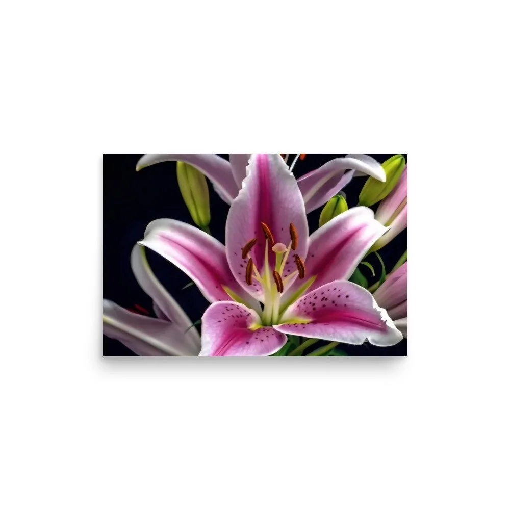 enhanced-matte-paper-poster-(in)-12x18-front-69e0ed808ab7c.jpg