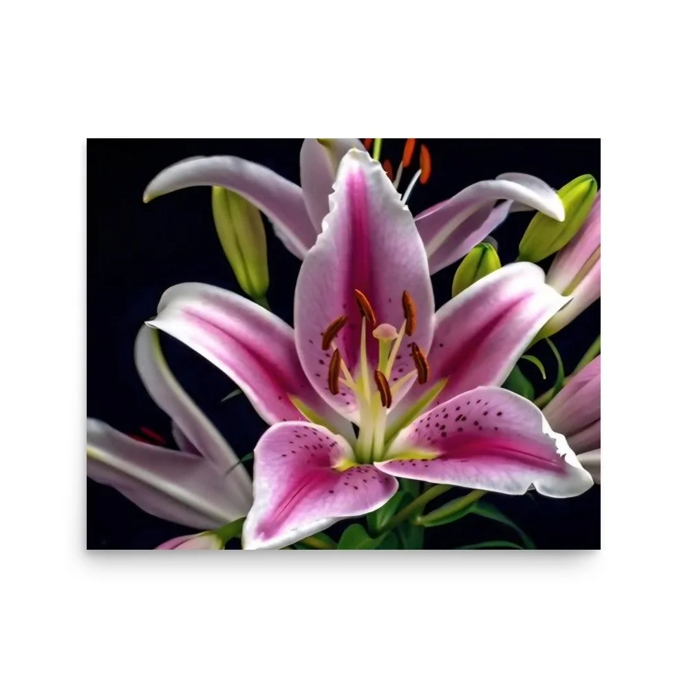 enhanced-matte-paper-poster-(in)-16x20-front-69e0ed808b016.jpg