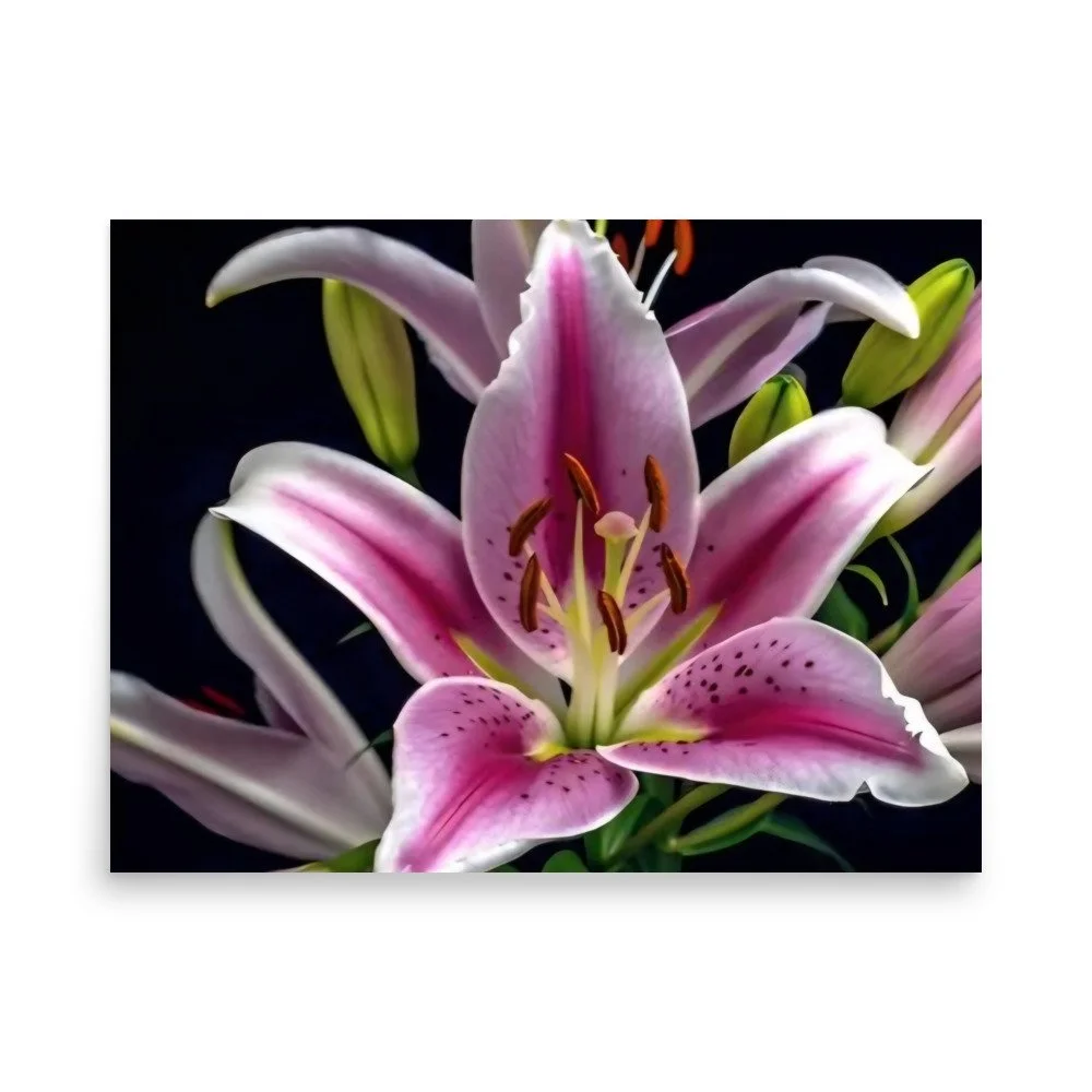 enhanced-matte-paper-poster-(in)-18x24-front-69e0ed808b484.jpg