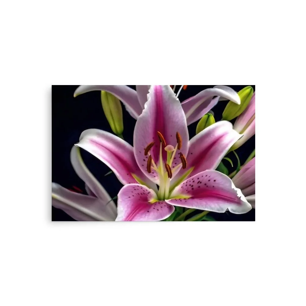enhanced-matte-paper-poster-(in)-20x30-front-69e0ed808d46f.jpg