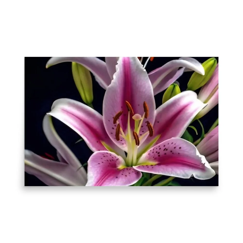 enhanced-matte-paper-poster-(in)-24x36-front-69e0ed808b905.jpg