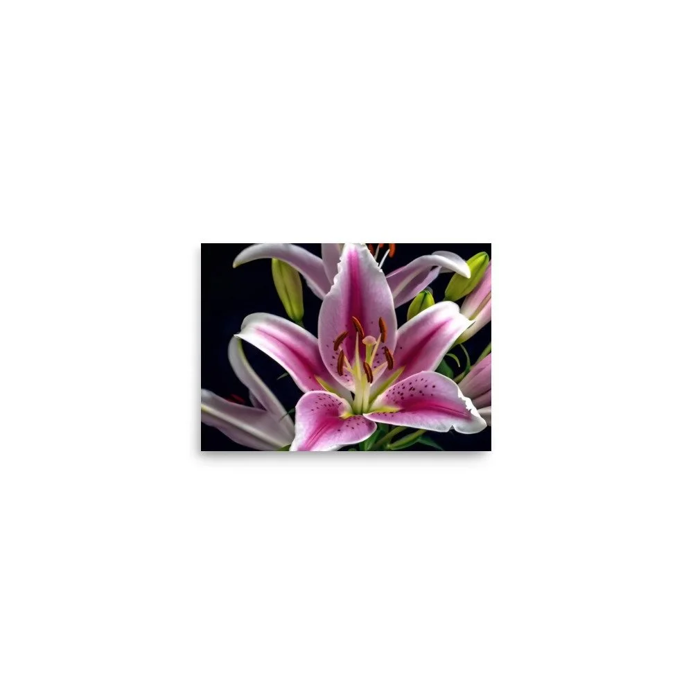 enhanced-matte-paper-poster-(in)-5x7-front-69e0ed808cb50.jpg
