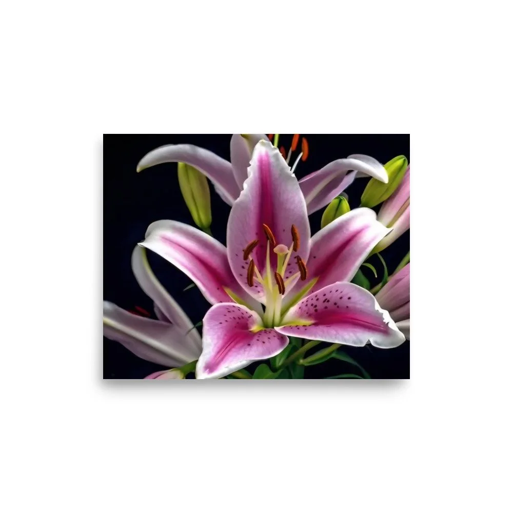 enhanced-matte-paper-poster-(in)-8x10-front-69e0ed8089d5f.jpg
