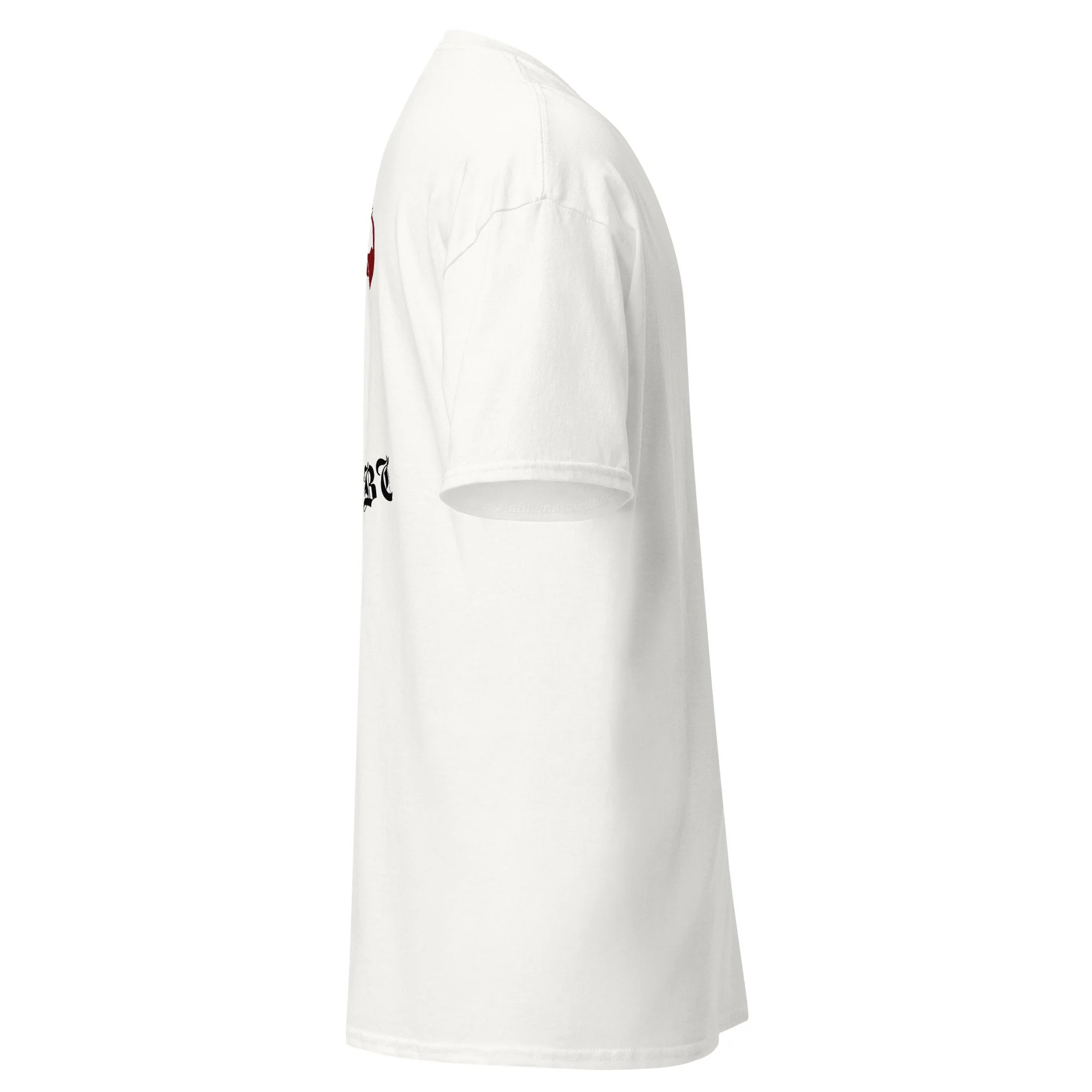 unisex-classic-tee-white-right-69e93ca9cfb16.jpg