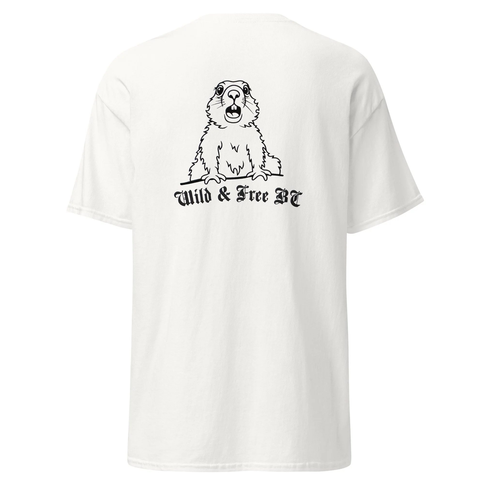 unisex-classic-tee-white-back-69e93cd3d325a.jpg
