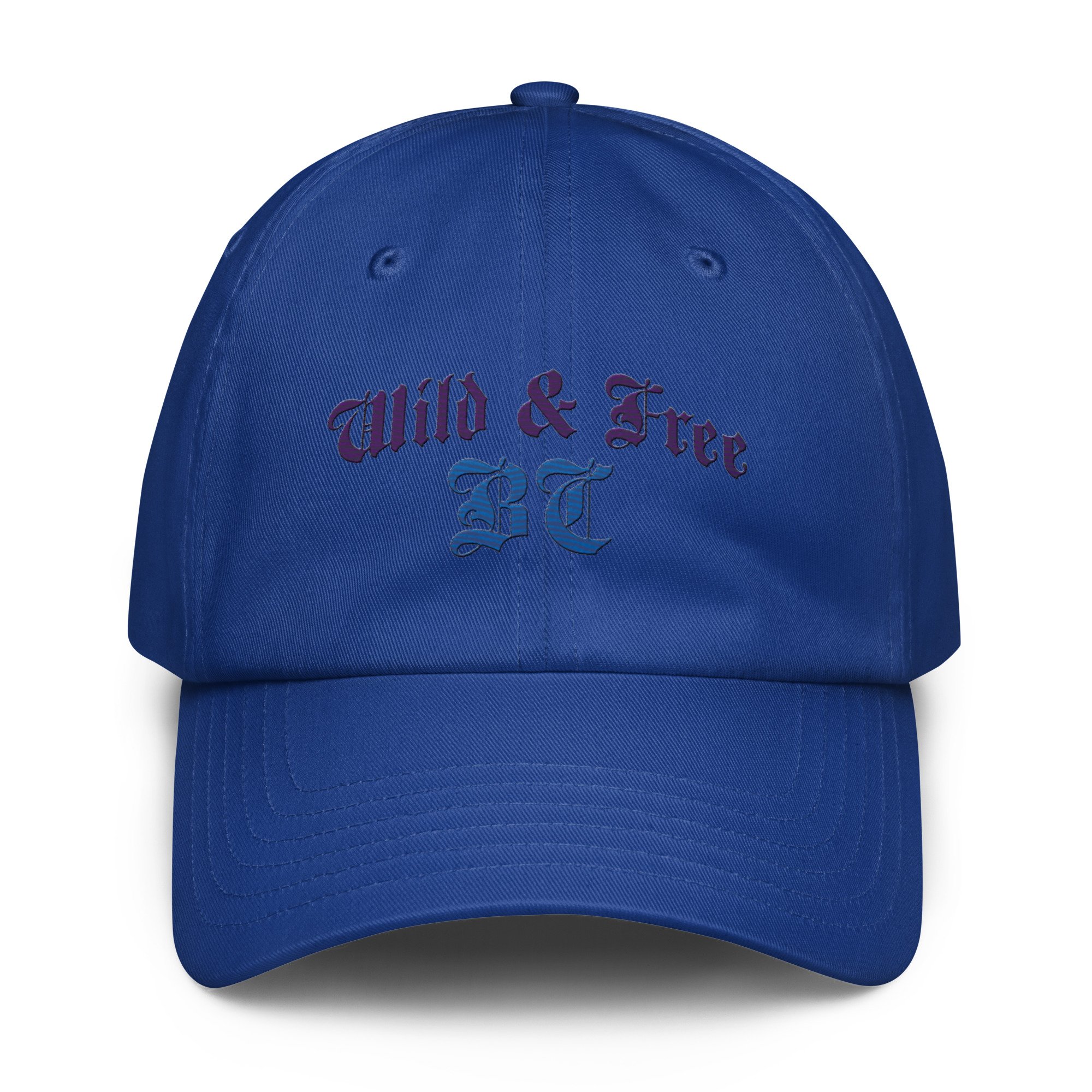 under-armour-dad-hat-royal-blue-front-69e93fc32ac33.jpg