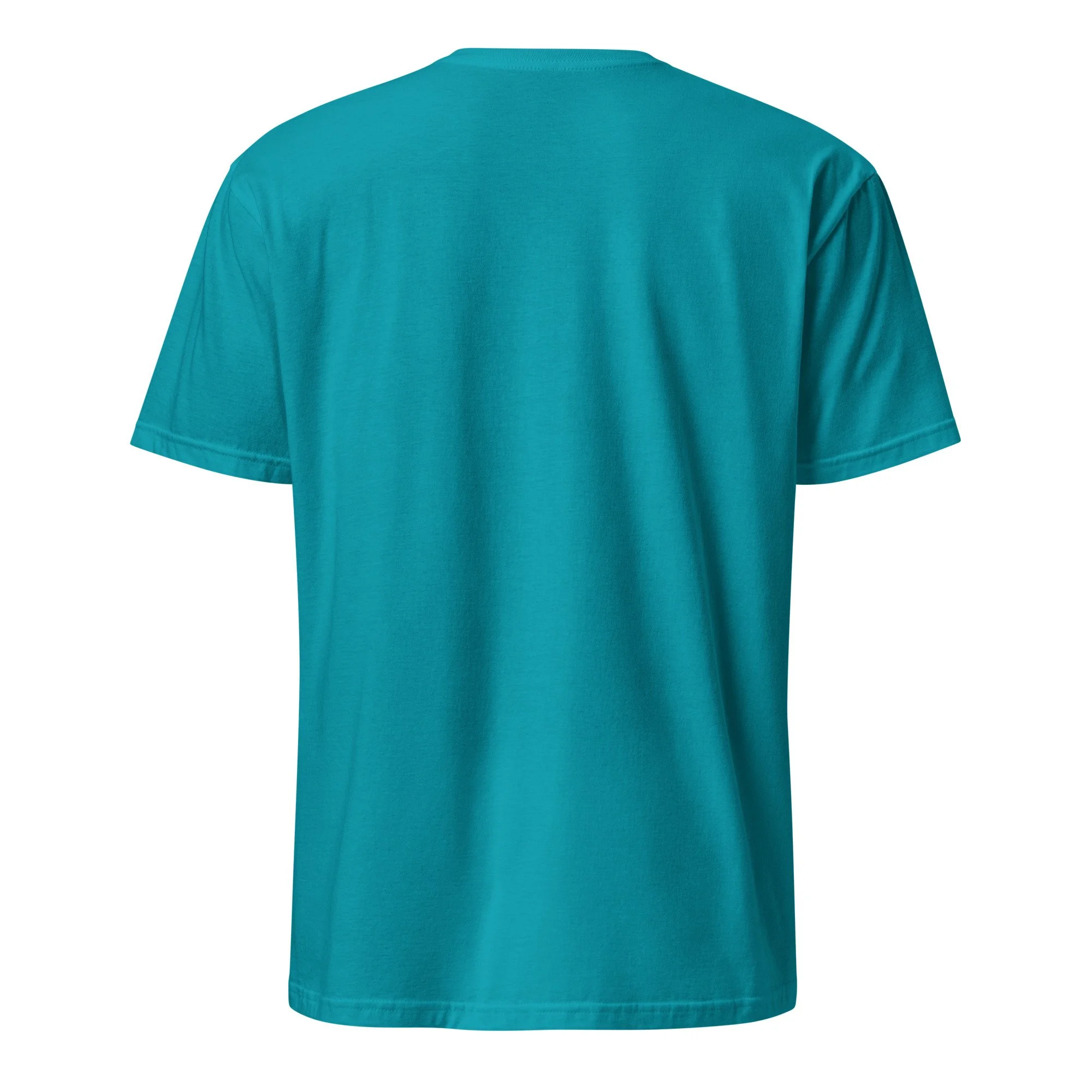 unisex-basic-softstyle-t-shirt-tropical-blue-back-6a0f27aa669b2.jpg