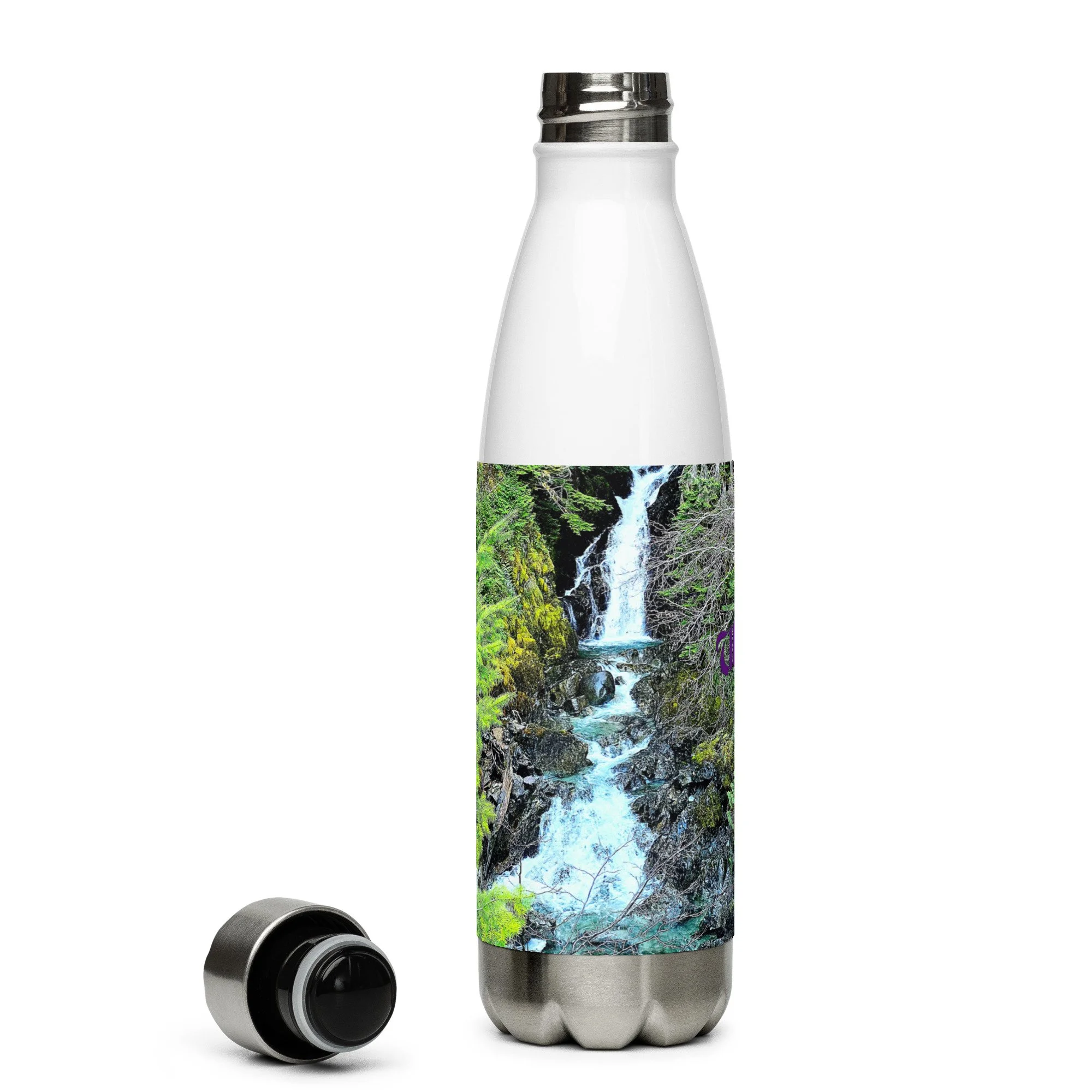 Stainless steel water bottle