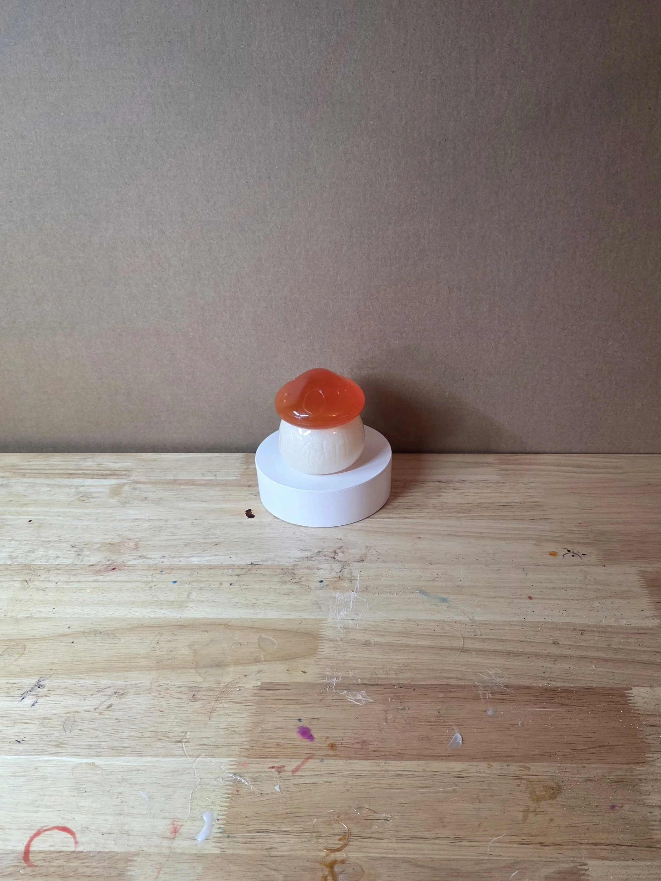 20260219_101105.jpg
