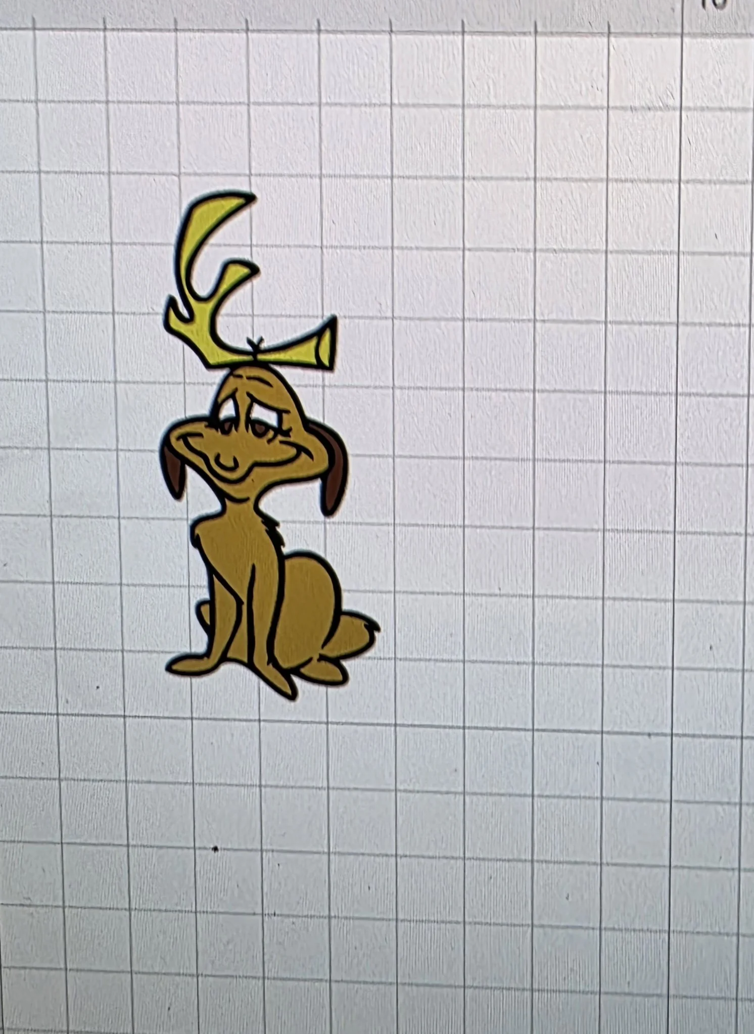 20260216_193017.jpg