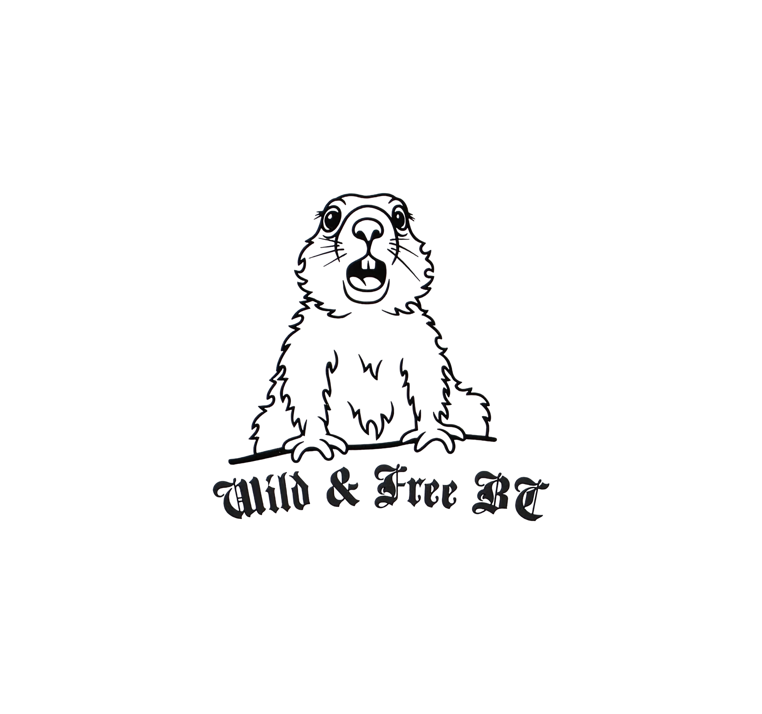 Remove background project-12 (17).png