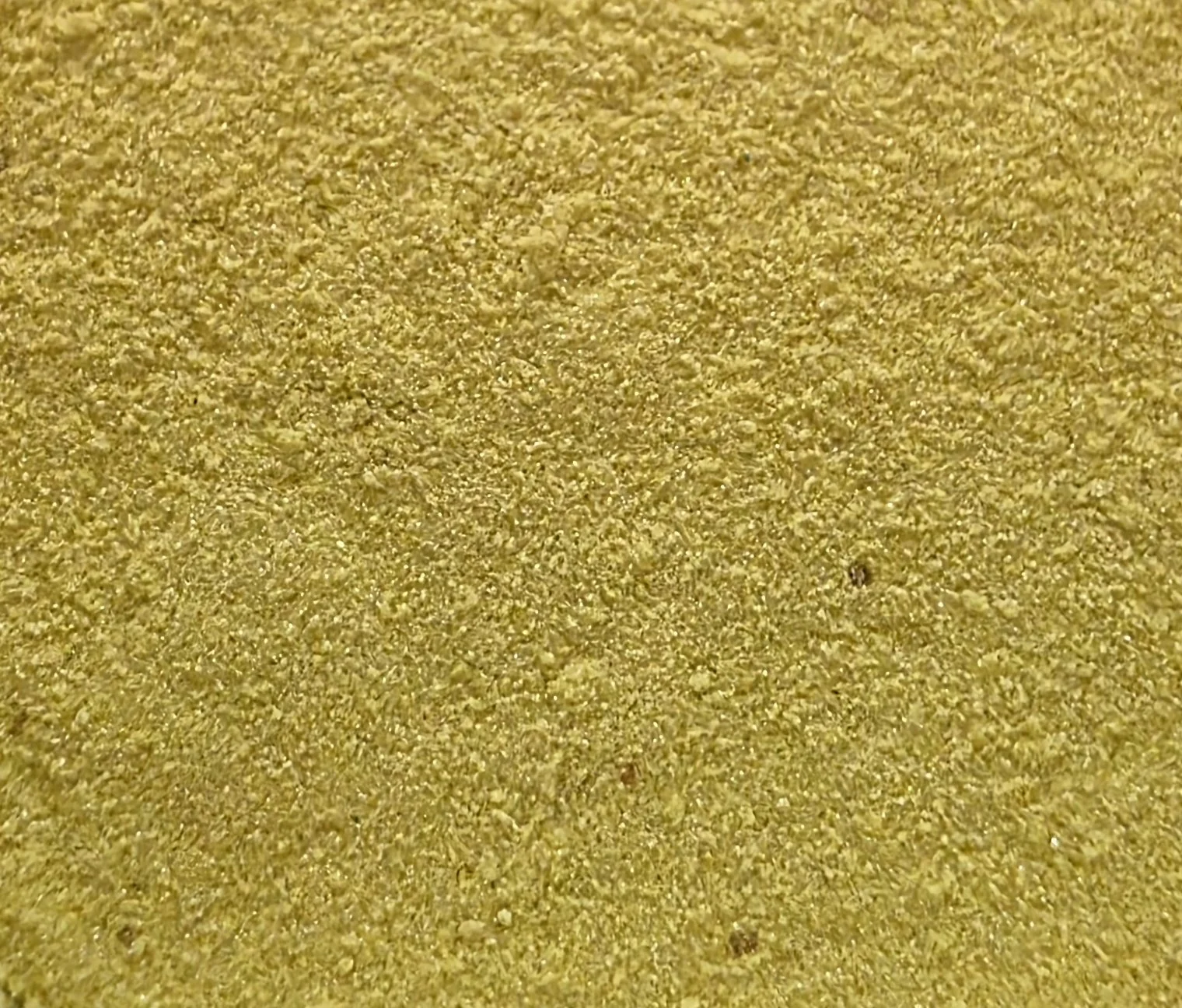 20260215_114342.jpg