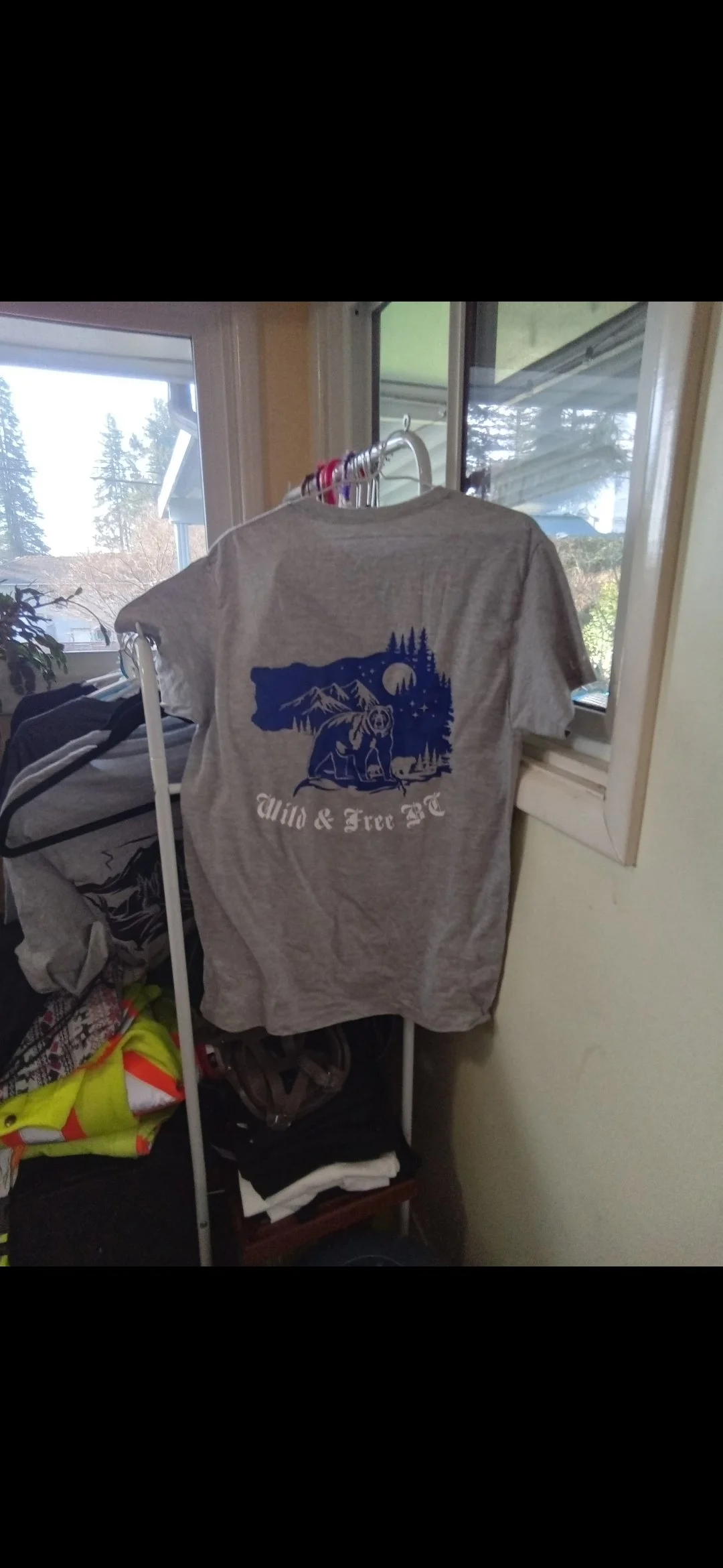 Gray T-shirt hanging on a hanger with a graphic of a bear, mountains, trees, and night sky, and text that reads 'Wild & Free BC'; the T-shirt is in front of a window with trees outside.