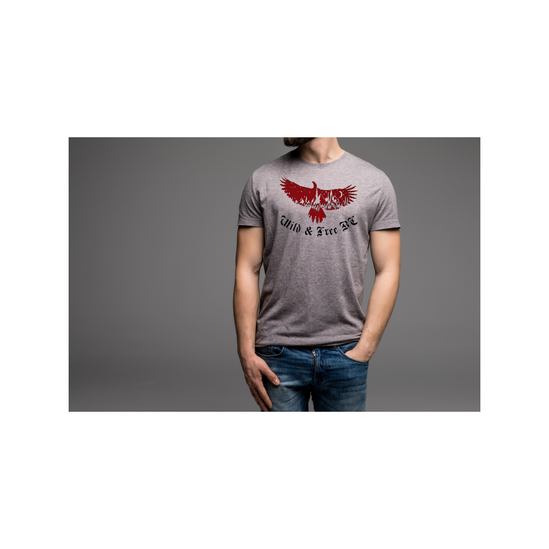 Wings to Fly Eagle
