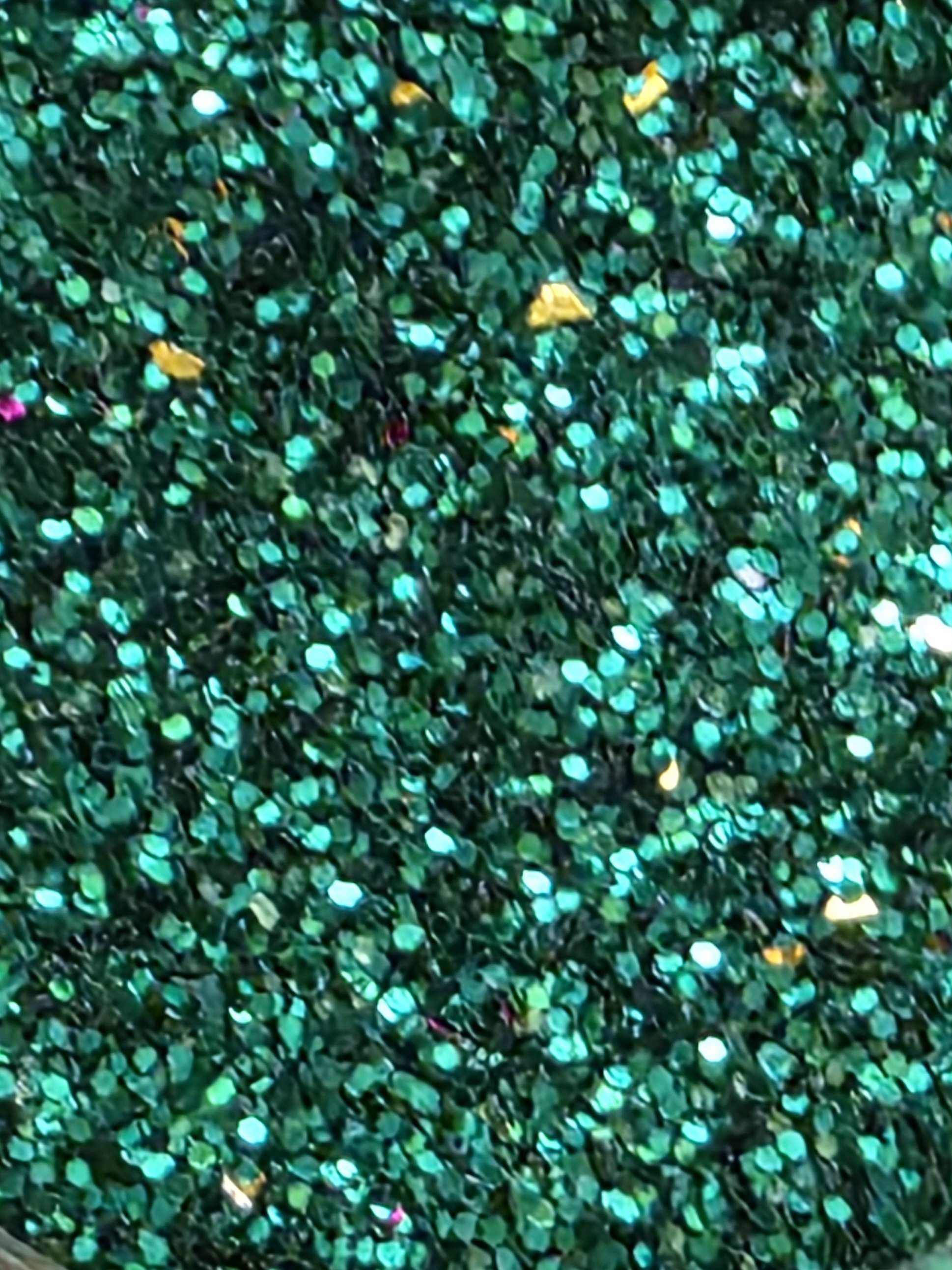 20260215_113119.jpg