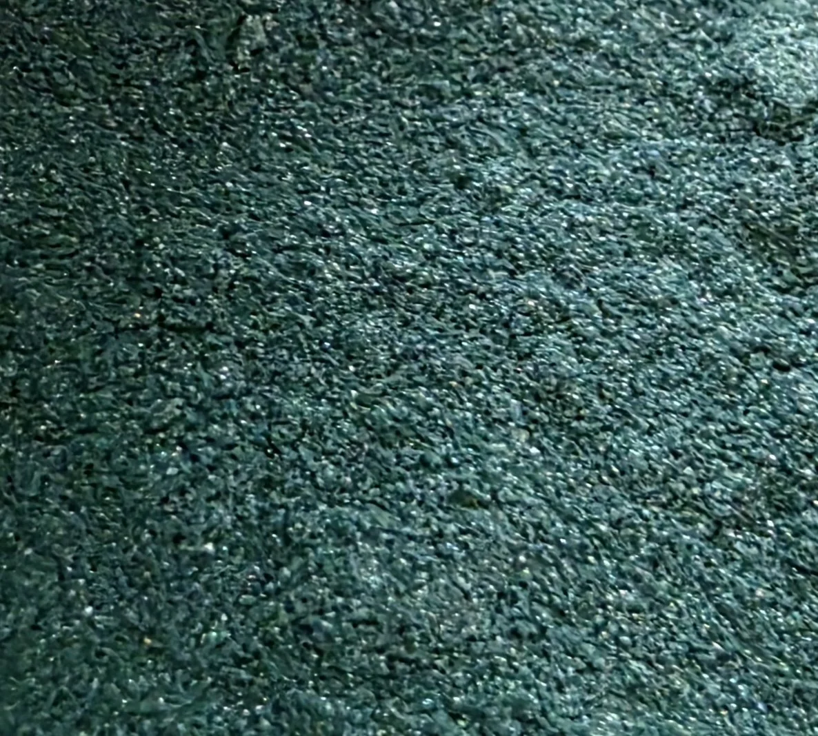 20260215_114531.jpg