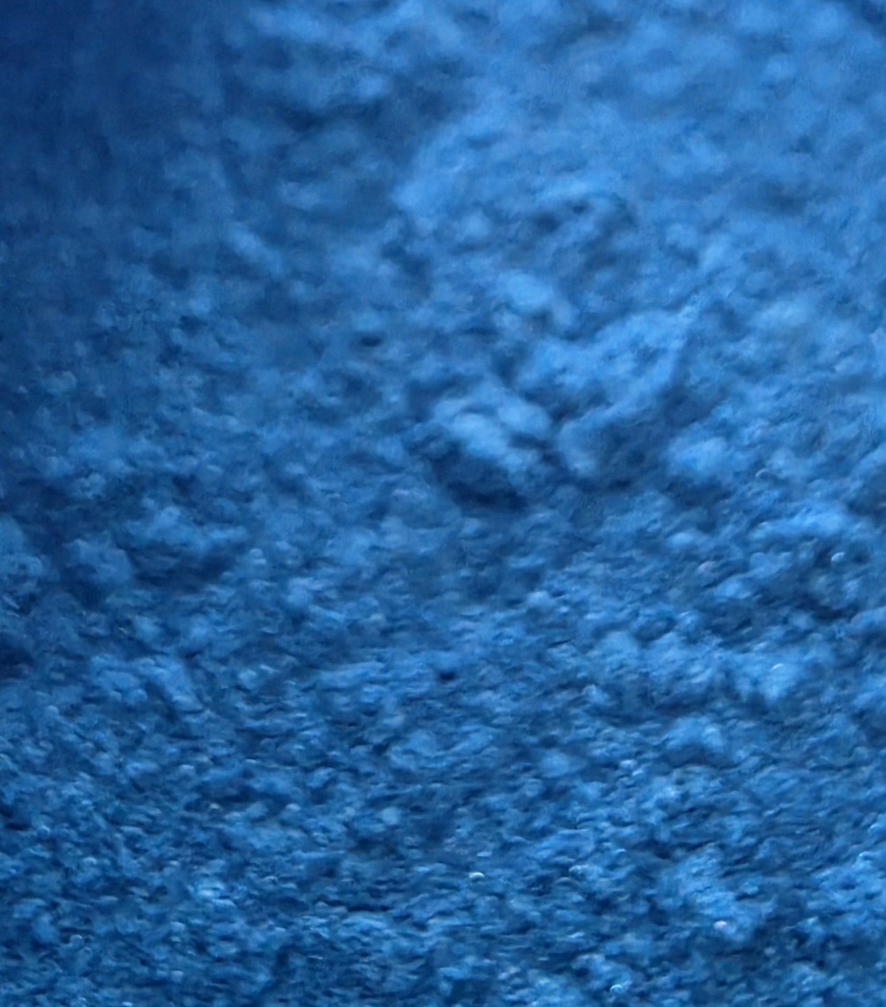 20260215_114642.jpg