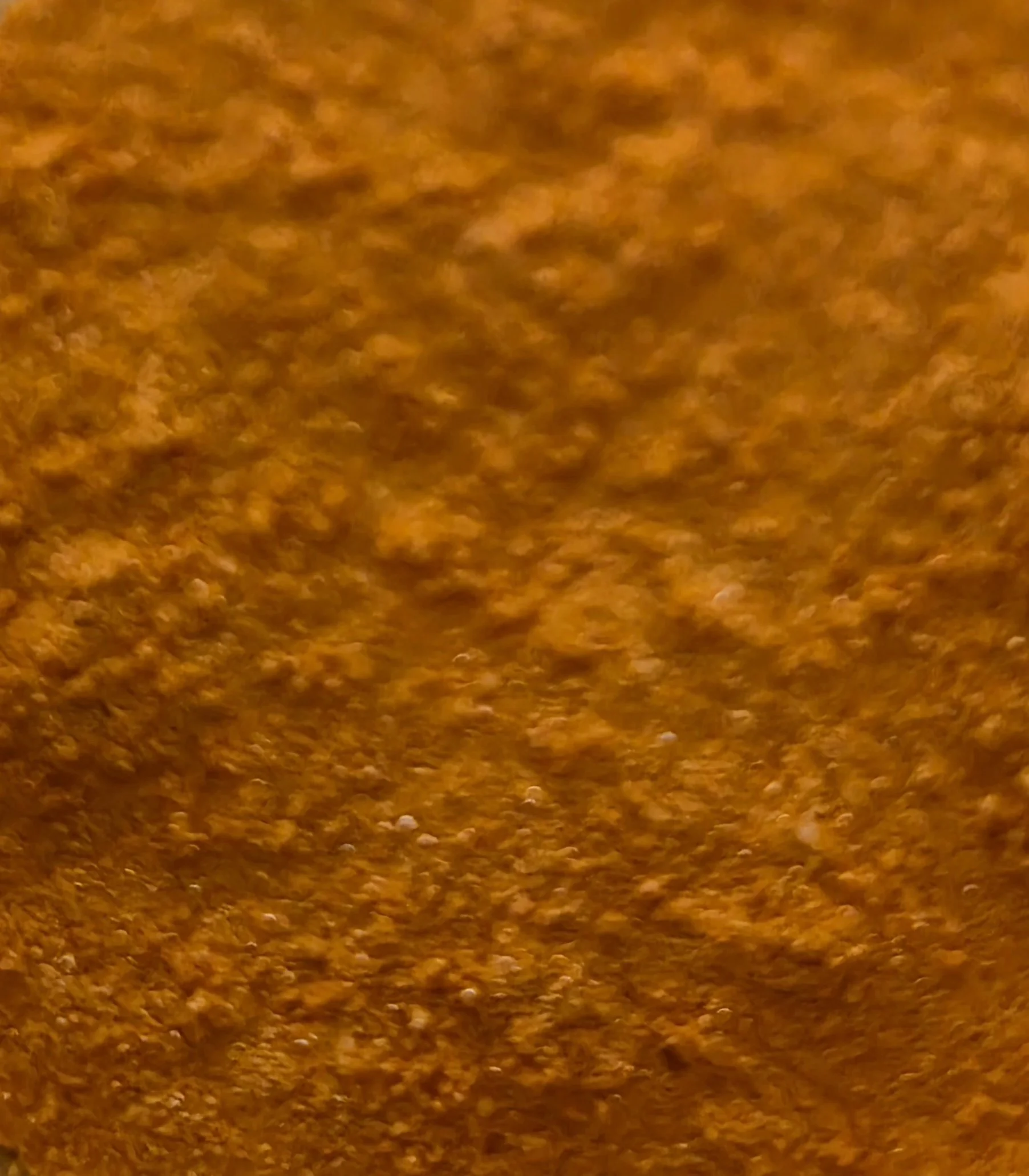 20260215_113916.jpg