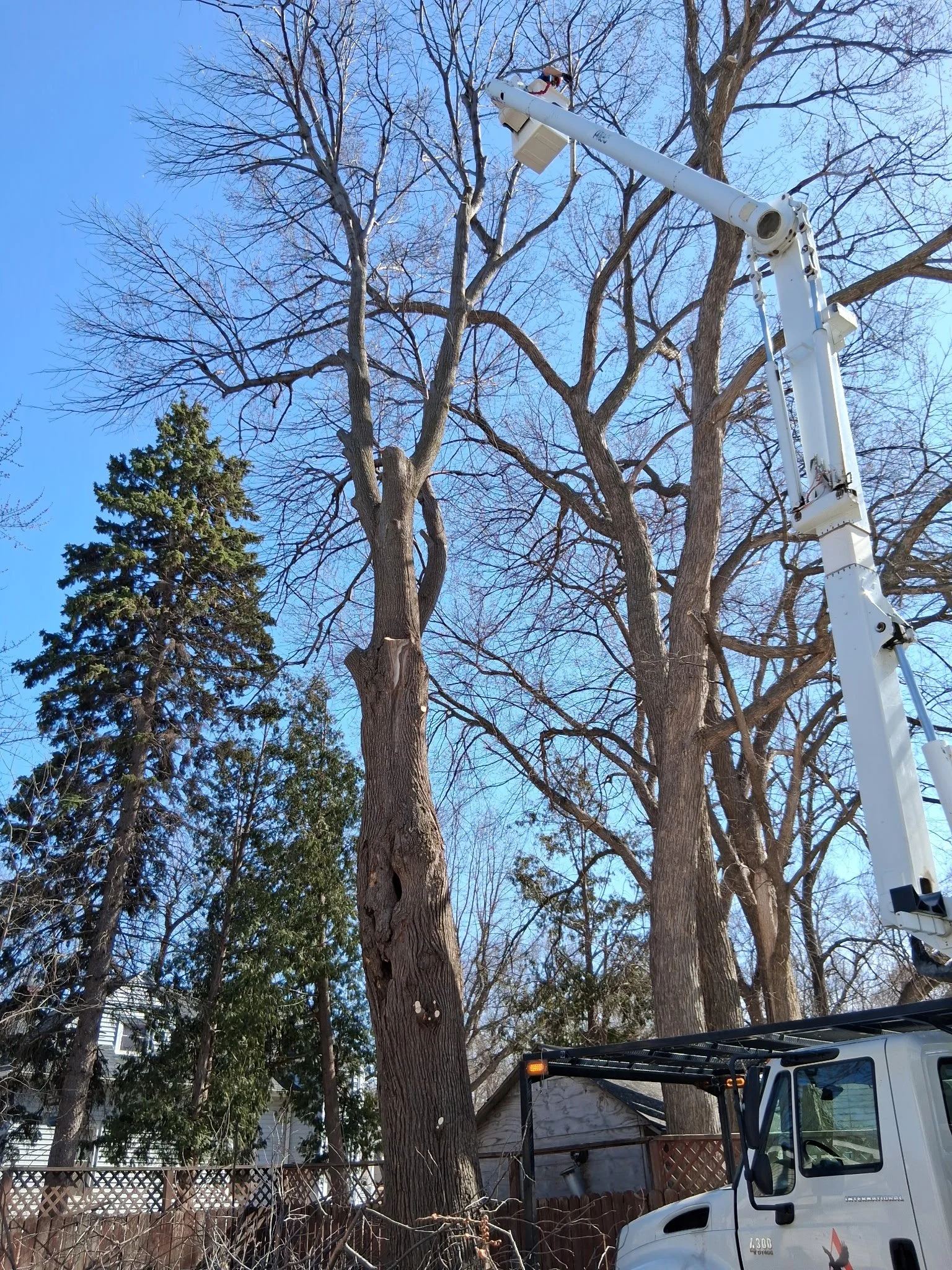 6593695478515401371 2.JPG