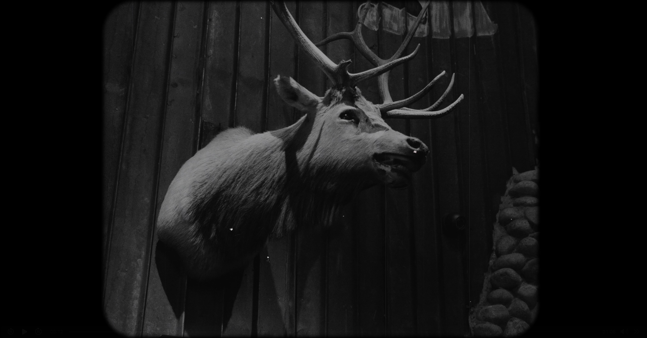Black and white photo of a mounted head of a deer with antlers on a wooden wall.