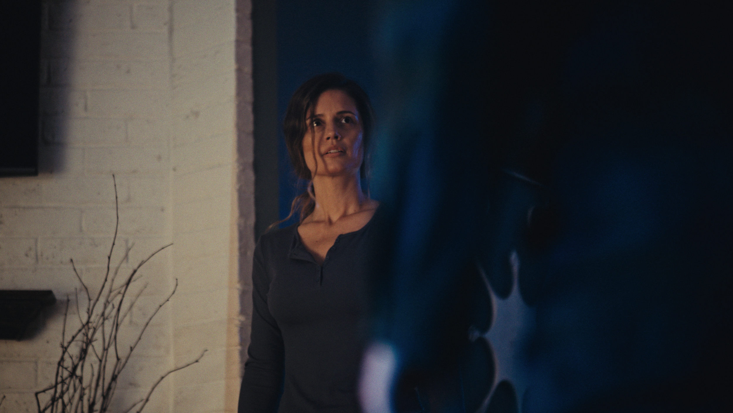 A woman with dark hair looking surprised or concerned, standing indoors against a white brick wall with some bare branches nearby, with some blue lighting.