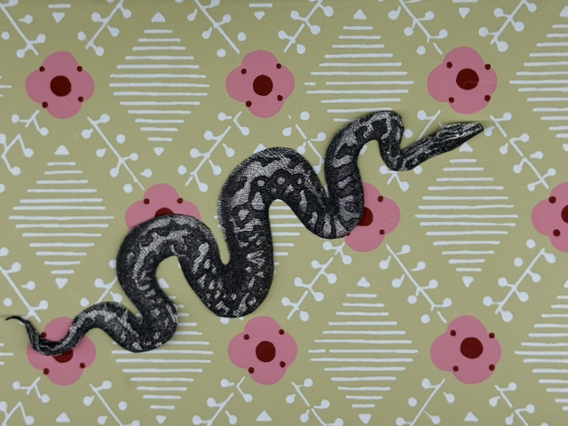 scissors-and-glue-studio-snake.png