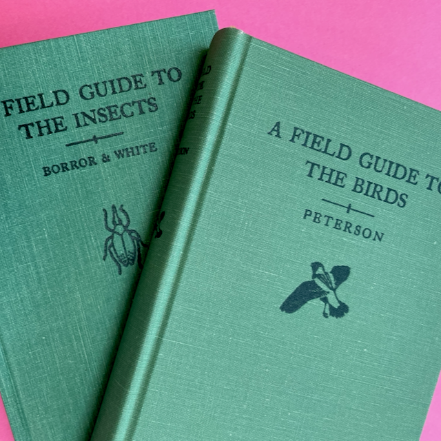 scissors-and-glue-studio-vintage-field-guide-insects-birds.png